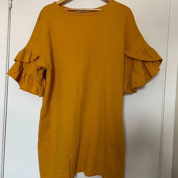 Zara Dresses & Skirts - Zara dress with ruffled sleeves